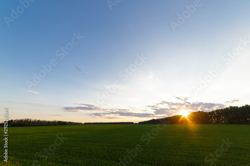 Sunset through the clouds over the forest and field.