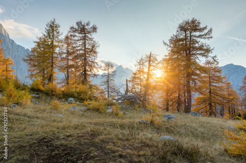 Alpine autumn landscape with yellow larch forest, near Kranjska Gora, Julian Alps, Slovenia, Europe