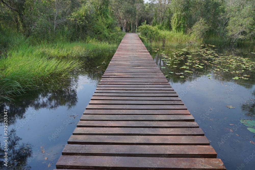 Fototapeta premium wooden bridge in forest