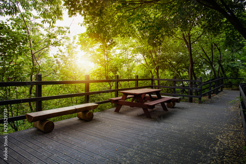 bench in the park at sunrise