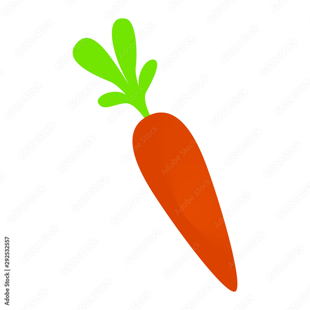carrot with leaf carrot with leaf