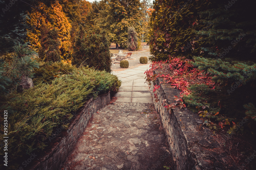 Autumn in city park. Beauty nature scene at fall season. Botanical Garden in Republic of Moldova. Beautiful city landscape. Autumn in city park. Beauty nature scene at fall season. Botanical Garden in Republic of Moldova. Beautiful city landscape.