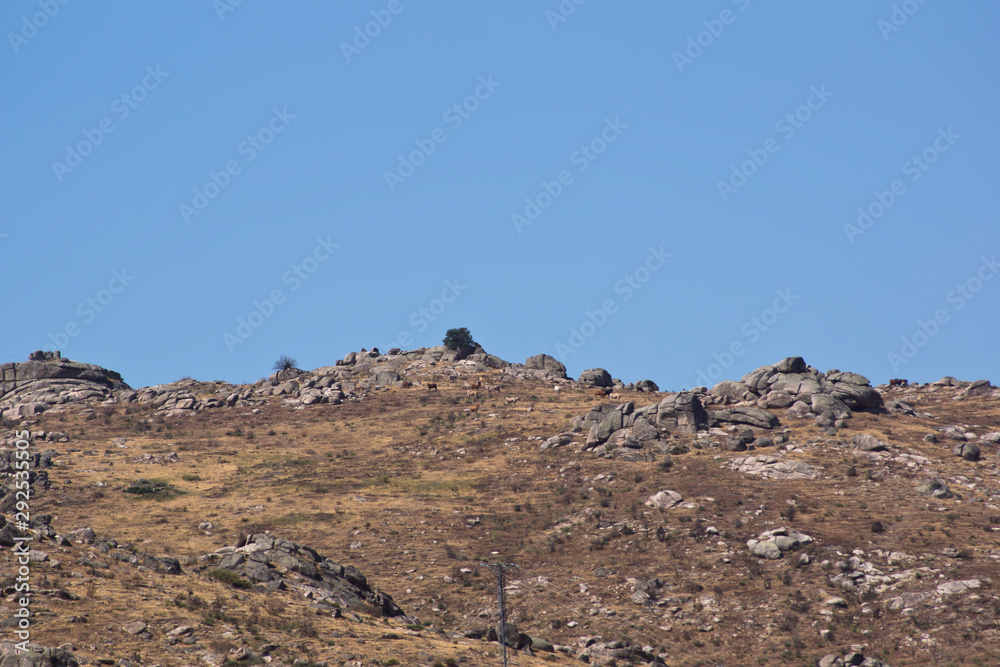 Montañas bajo el cielo azul