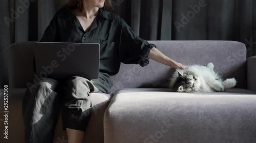 Lazy domestic animal chilling. Girl is working on a black laptop on sofa and big cat is laying down nearby. Homework. Freelance young woman in the room. Work from home.Stay home.Coronavirus quarantine