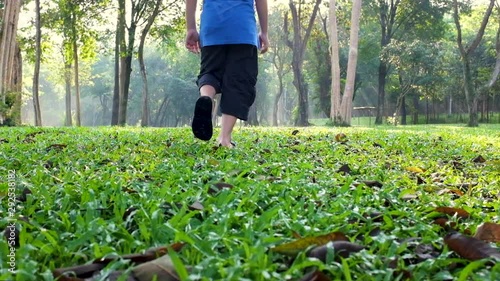 Asian child admire the wonders in green nature, outdoors activity with bright sunlight.