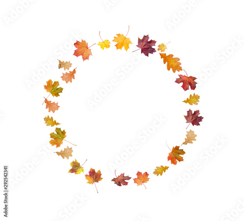 Autumn composition. Frame made of autumn color leaves on white background. Flat lay, top view, copy space