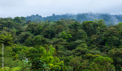 Cloud forest, Sarapiqui Region, Costa Rica, Central America, America