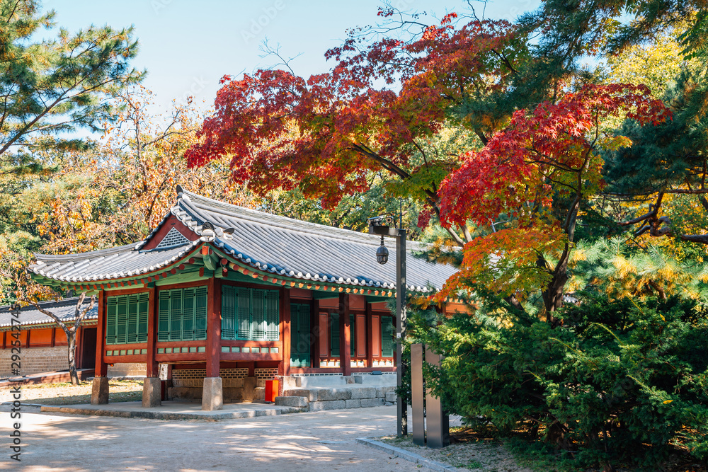 Jongmyo Shrine with autumn maple in Seoul, Korea Jongmyo Shrine with autumn maple in Seoul, Korea