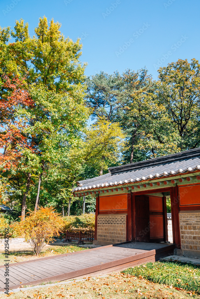 Jongmyo Shrine at autumn in Seoul, Korea