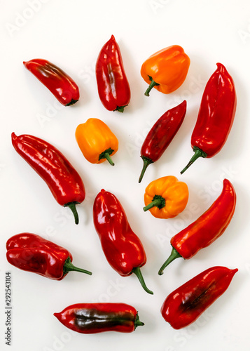Multi-colored peppers on white background.
