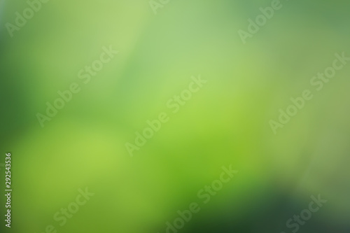 blurring green and yellow leaves