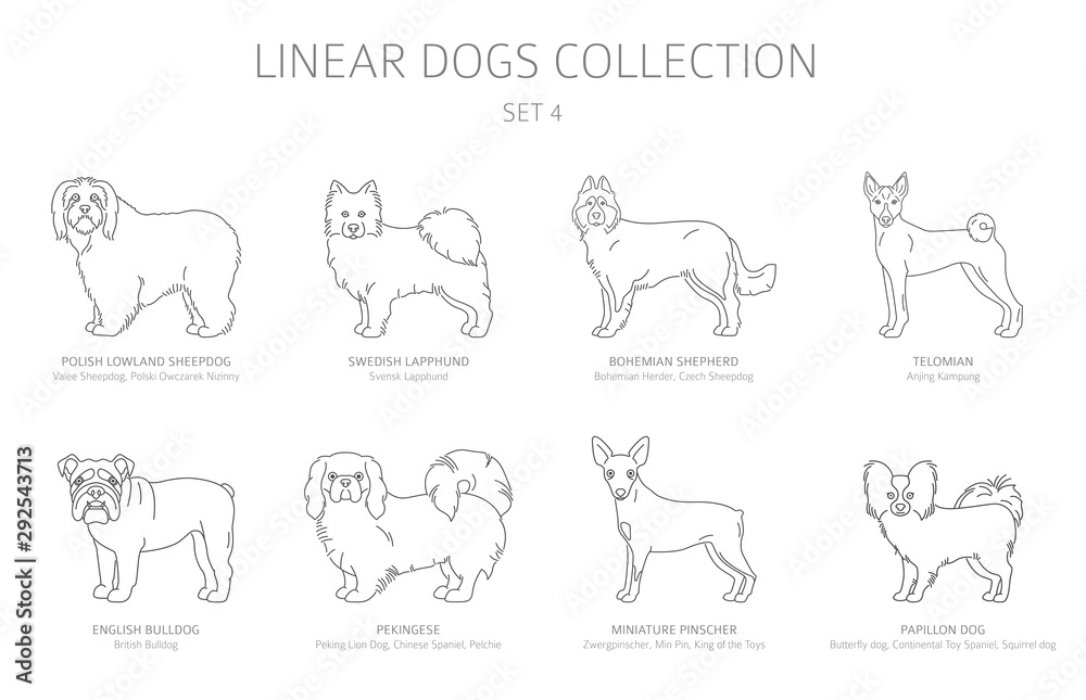 Simple line dogs collection isolated on white. Dog breeds. Flat style clipart set