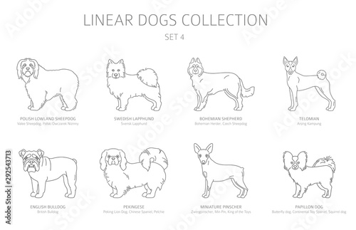 Simple line dogs collection isolated on white. Dog breeds. Flat style clipart set
