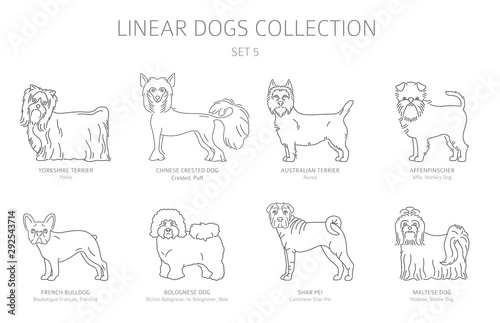 Simple line dogs collection isolated on white. Dog breeds. Flat style clipart set