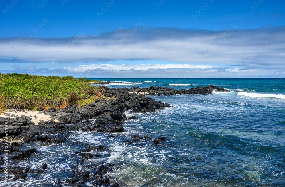 landscape of coastline at Santa Cruz island Galapagos. UNESCO