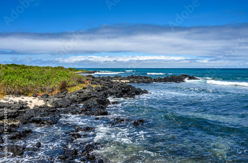landscape of coastline  at Santa Cruz island, Galapagos.  UNESCO World Heritage Site, Ecuador. photo
