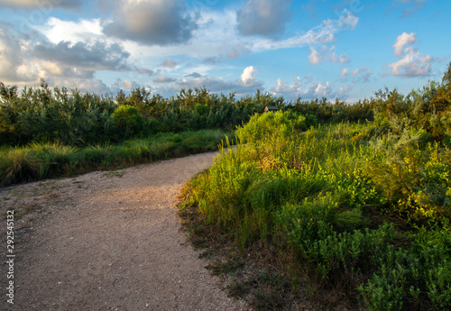 Part of the Kelly Hamby Nature Trail 