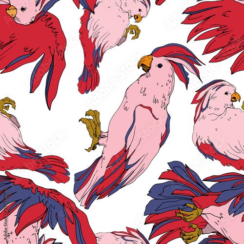 Vector Sky bird cockatoo in a wildlife isolated. Black and white engraved ink art. Seamless background pattern.