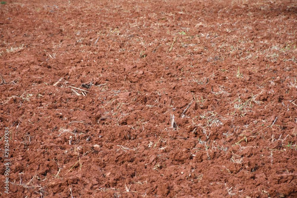 Dry red soil in agriculture farm background.