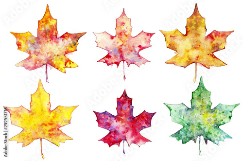 Set of yellow maple leaves, watercolor illustration, collection of elements for creativity. Colorful autumn leaves. Leaves isolated on a white background. photo