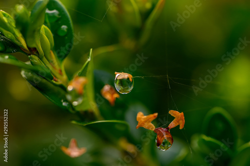 Fliegende Tropfen photo