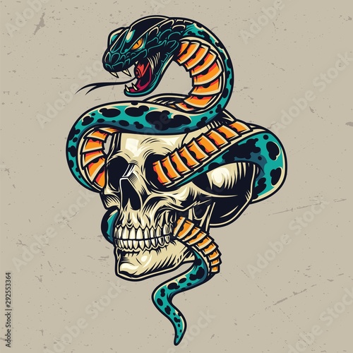 Snake entwined with skull colorful concept