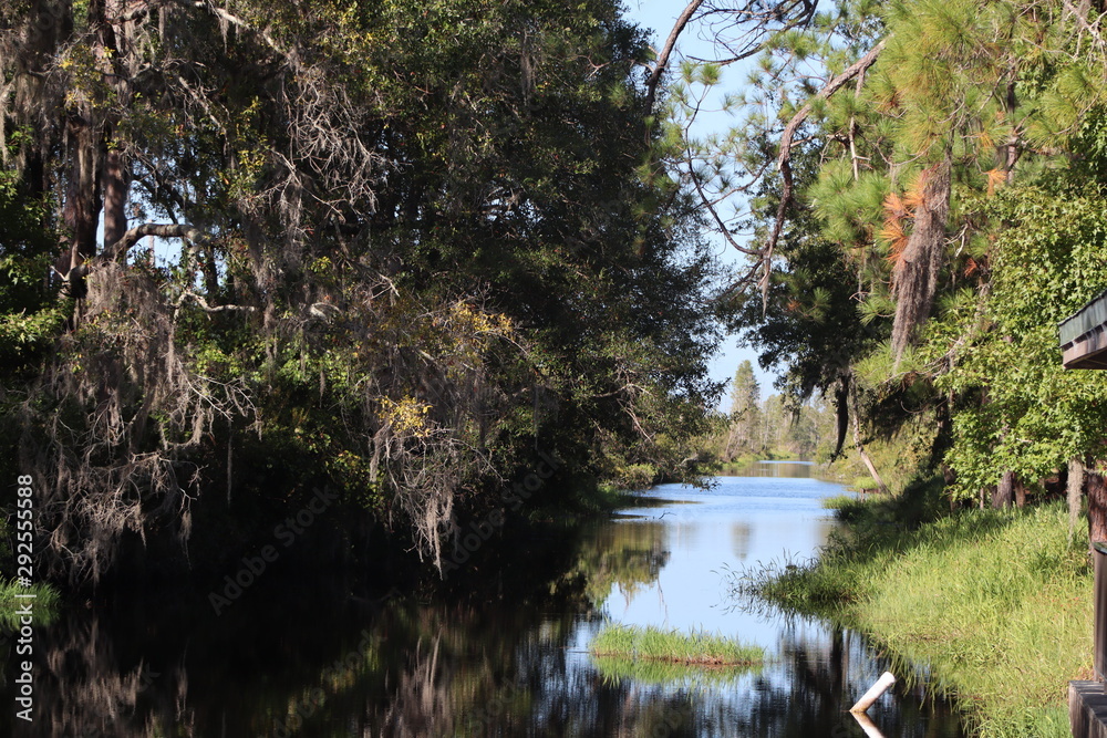 Okefenokee canal