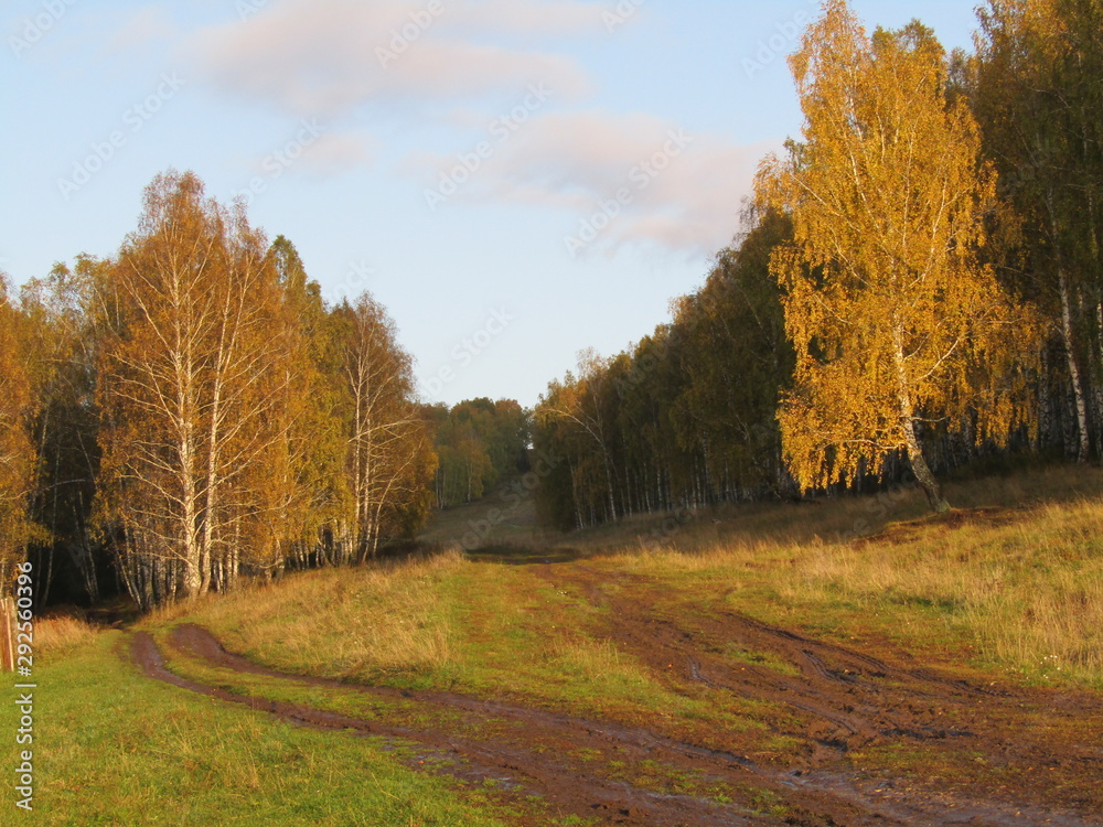 Fototapeta premium autumn