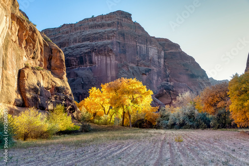 fall colors canyon de chelly photo