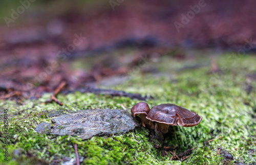 Nach dem Regen © Marieluise