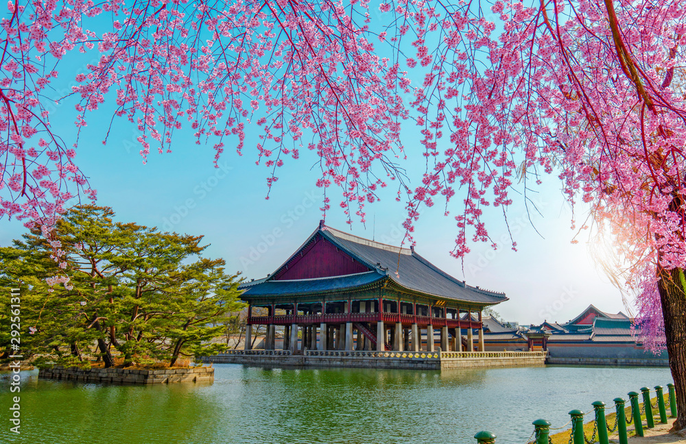 Gyeongbokgung Palace with cherry blossom in spring,Seoul,South Korea. Gyeongbokgung Palace with cherry blossom in spring,Seoul,South Korea.