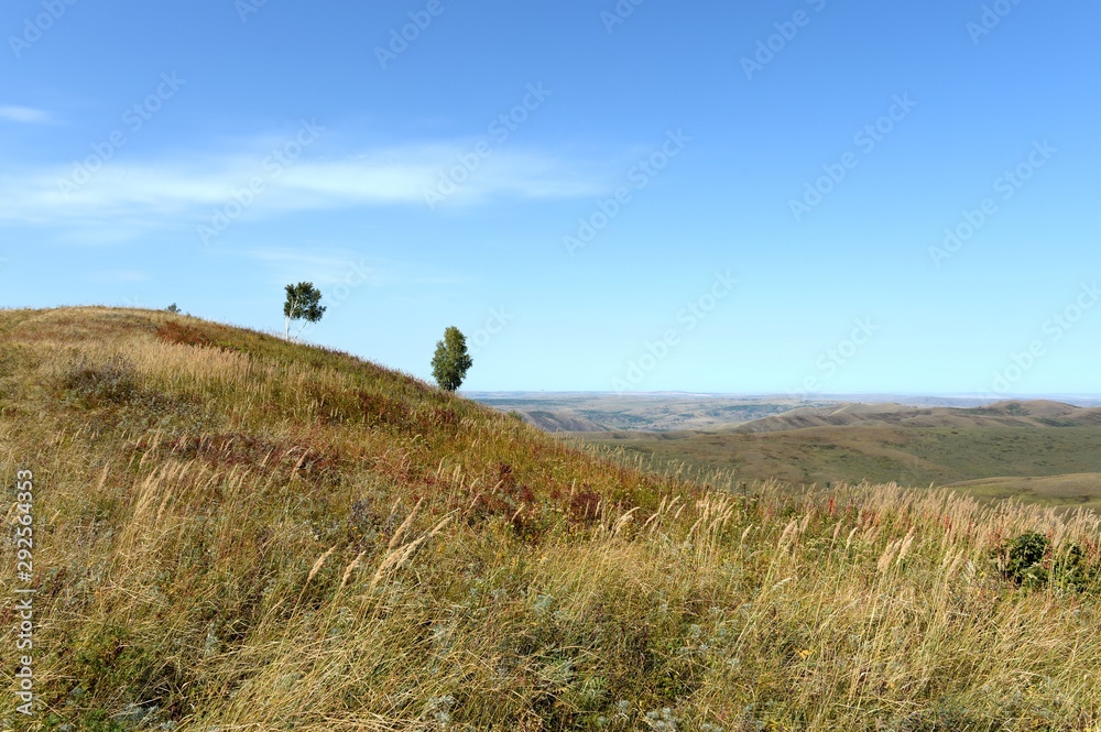 Obraz premium Altai foothills. The expanses of the Chineti reserve. Western Siberia.