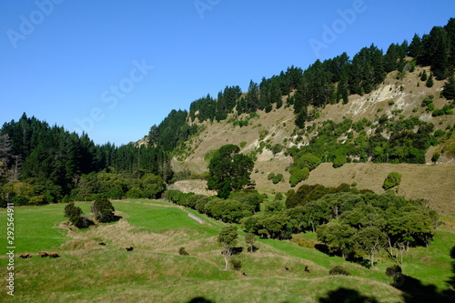 Farmland near Cheviot, Canterbury, New Zealand photo