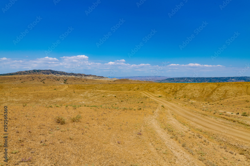 semi-desert in the national park vashlovani