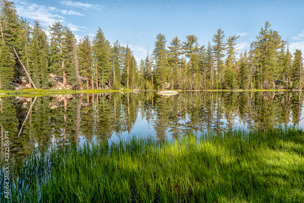 Obraz premium Awesome views all around Yosemite National Park in California