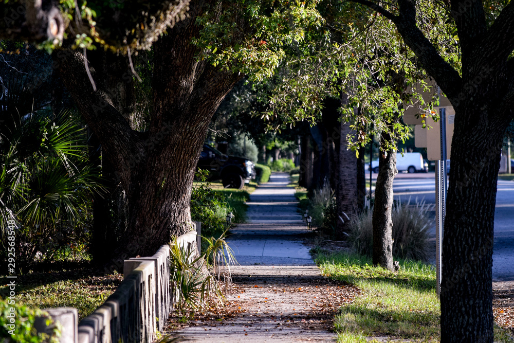 morning in the heights 2