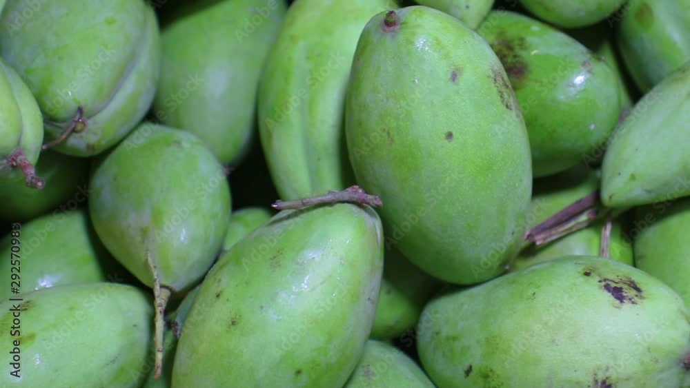 tropical Thai green mango is popular fruit, in basket to protect and keep fresh . mango has a unique flavor with sour tasty and high vitamin C, good for for healthy and dietary. tropical Thai green mango is popular fruit, in basket to protect and keep fresh . mango has a unique flavor with sour tasty and high vitamin C, good for for healthy and dietary.