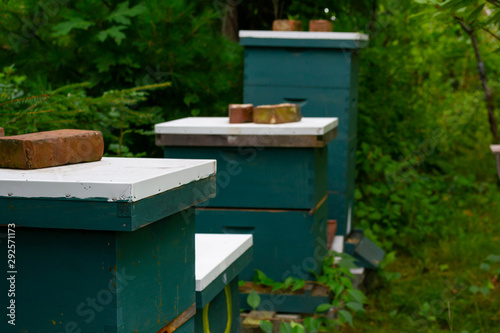a beekeeper's stacked green honey bee hive boxes in a row
