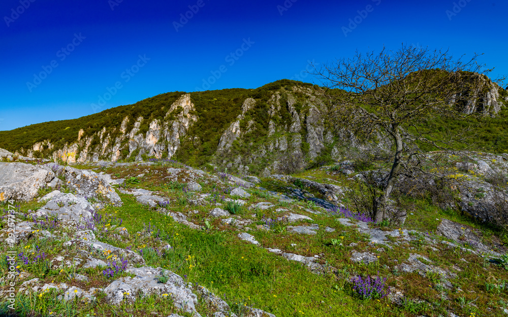 valley between rocks with grass and bushes