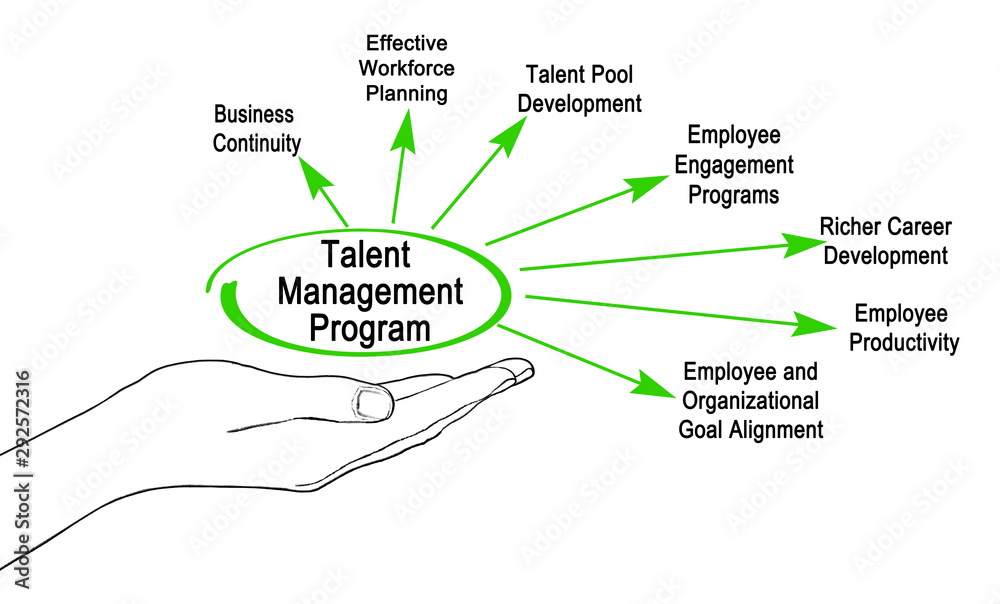 Obraz premium Components of Talent Management Program