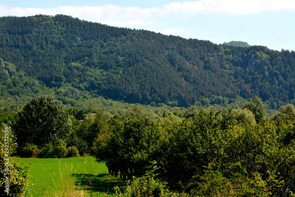 Fototapeta premium Typical landscape in the forests of Transylvania, Romania. Green landscape in the midsummer, in a sunny day