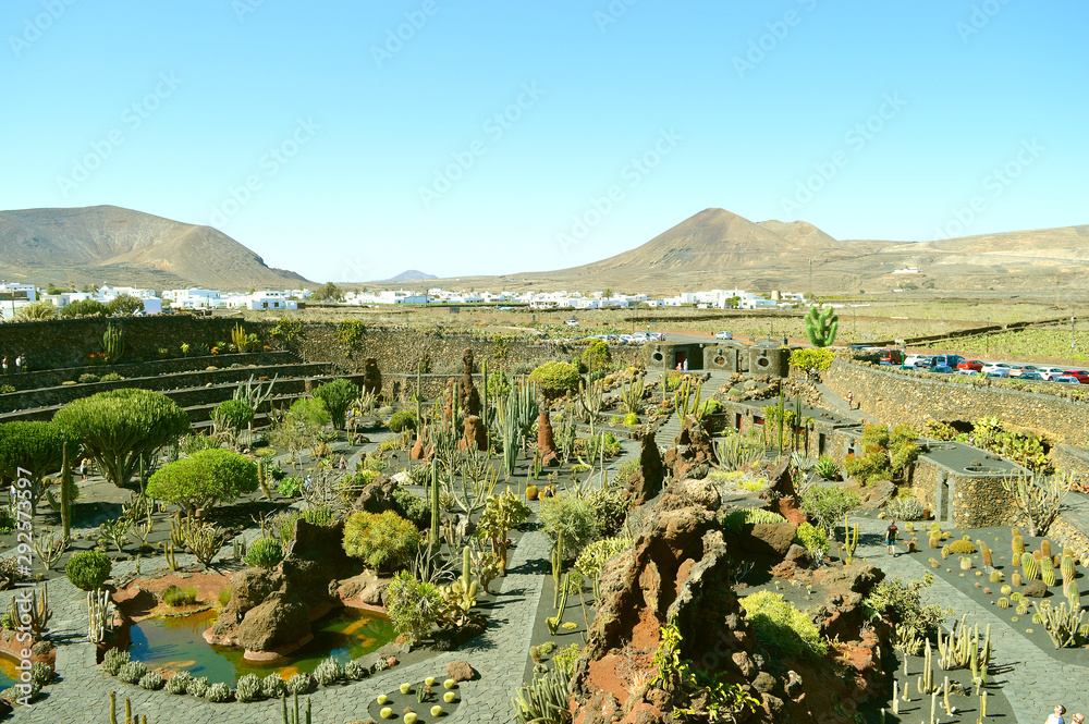 Cactus garden in Guatiza
