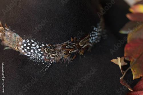 Autumn mood accessories-warm brown wool hat and  leaves which  turn into the warm colors of orange  red  yellow and gold.