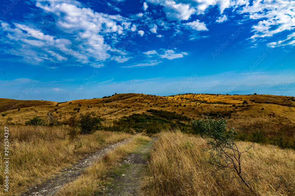 road through georgian landscape