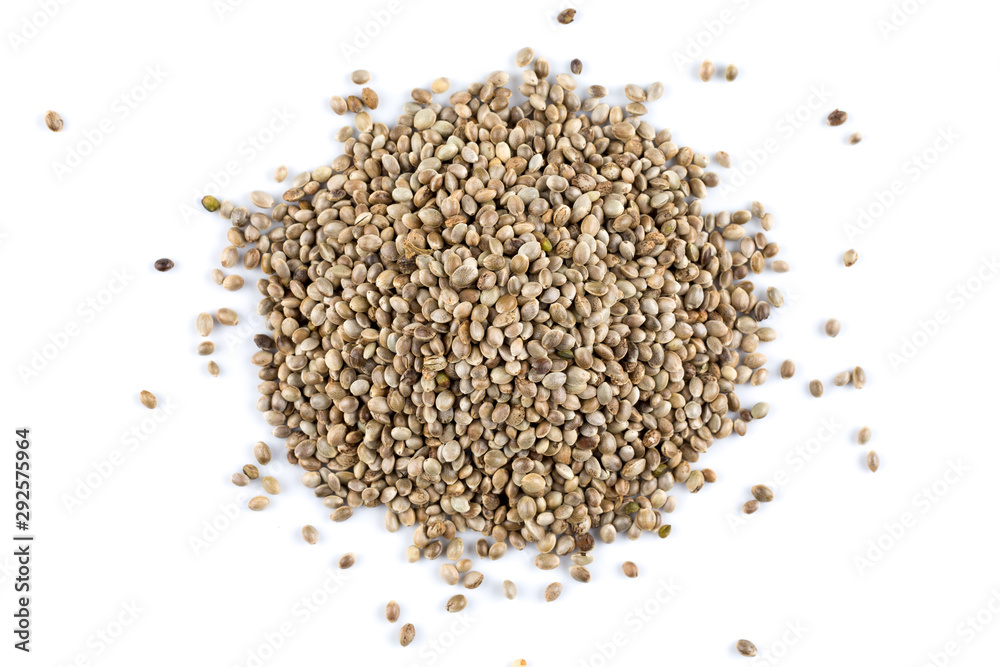 Cannabis Hemp seeds close up macro shot isolated Cannabis Hemp seeds close up macro shot isolated