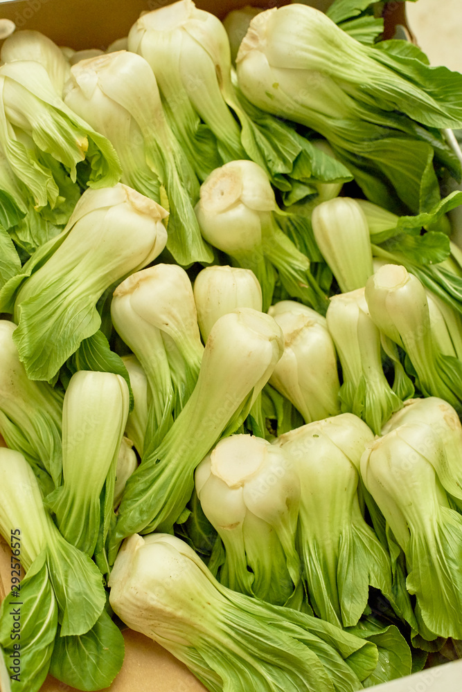 Pak choi - asian cabbage - arranged at the market stall