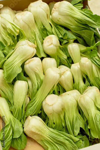 Pak choi - asian cabbage - arranged at the market stall
