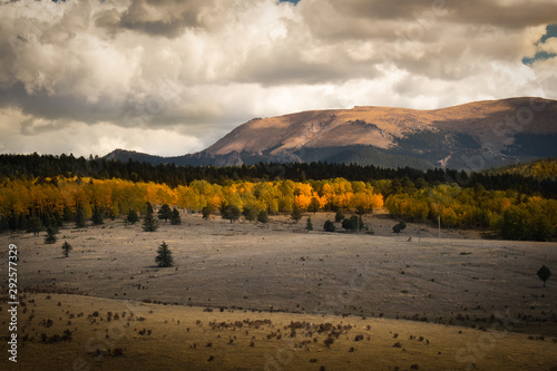 Fall in the Colorado Rockies, Pikes Peak Region