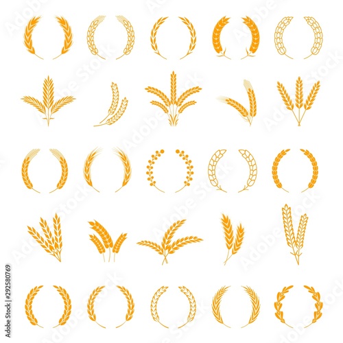 Wheat and rye ears. Harvest barley grain, growth rice stalk. Field cereal icons set. Wreath spikes and stalks vector bordure elements for business signs