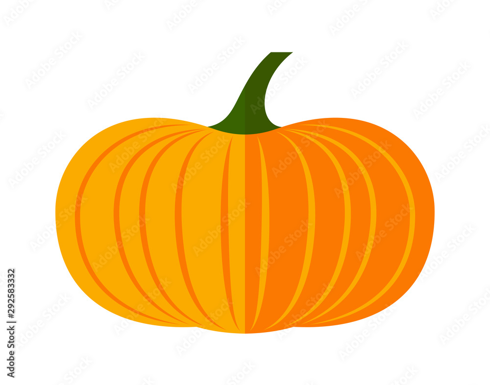 Obraz premium pumpkin